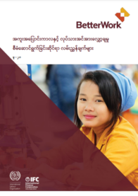 Transitions and Retrenchments Guidelines