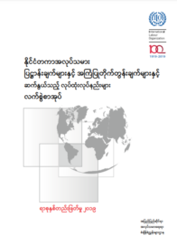 Handbook of Procdures relating to International Labour Standards, the Domestic Workers Convention and the Minimum Wage Fixing Convention
