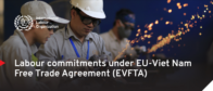 Labour commitments under EU-Viet Nam Free Trade Agreement