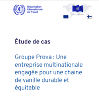 Groupe Prova-Une entreprise multinationale engagée pour une chaine de vanille durable et equitable